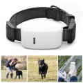 Dog GPS Tracker com preço competitivo